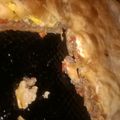 El cooksnap de Solee Caro cuando hizo Tarta de carne, huevo y queso.