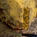 El cooksnap de Angeles Obispo cuando hizo Tortilla de zapallitos.