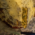 El cooksnap de Angeles Obispo cuando hizo Tortilla de zapallitos.