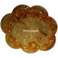 Shilpi gupta का कुकस्नैप जब उन्होंने काली मसूर की दाल (Kali masoor ki dal recipe in hindi) बनाया था।