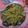 Cooksnap Asha Kim semasa beliau membuat Yee Mee Sizzling.