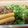 รูป Cooksnap ของ fang fang kitchen เมื่อเขาทำ ไข่ทอดใส้ชะอม