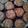 El cooksnap de Carina Cavallone cuando hizo Muffins de manzana.