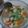 Cooksnap dari diah ae untuk resep 20. Sop sayur ceker ayam by dapurbudinda