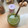 El cooksnap de Nuria Hernandez cuando hizo Pesto de pistachos.