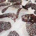 Christine Brown's cooksnap of when they made Coral Tuile.
