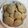 Cooksnap από antonismavro στη συνταγή Cookies κλασικά και λατρεμένα