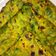 Neeta kamble का कुकस्नैप जब उन्होंने मेथी पराठा (methi paratha recipe in Hindi) बनाया था।