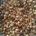 Cooksnap dari Helda Rosalinda untuk resep Kacang goreng bawang putih gurih renyah /kacang tuljin