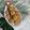 Cooksnap dari Eka Utami untuk resep Tahu rambutan