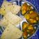 @shipra verma का कुकस्नैप जब उन्होंने चिली पनीर (Chilli paneer recipe in hindi) बनाया था।