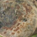 Rekha Pandey का कुकस्नैप जब उन्होंने आलू का पराठा(aloo ka paratha recipe in hindi) बनाया था।