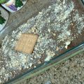 صورة من ام عمر 💗 (Fedaa Jammal)، شاركها بعد تجربة وصفة حلى الكاسترد بالبسكويت 🍮🍪