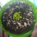 Cooksnap dari Icha Naufal untuk resep Brownies kukus anti gagal