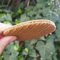 El cooksnap de @saboresculturales 👩🏻‍🍳🧡👏 cuando hizo 🇳🇱 STROOPWAFEL (Países Bajos).