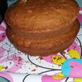 El cooksnap de Alexandra Vargas cuando hizo Torta Casera (judith).