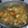 Cooksnap dari Maya Rismayani untuk resep Sup Ayam Bumbu Meresap