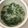 Cooksnap dari Dian Pramita untuk resep Bobor bayam/lodeh bayam