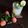 Jasmin Motta _ #BeingMotta's cooksnap of when they made Lychee Mojito.