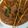 Cooksnap dari ayati untuk resep Rendang Daging Sapi