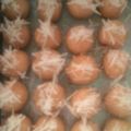 Cooksnap dari Eni Jumiati untuk resep Nastar Keju Legit Anti Gagal