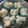 Cooksnap dari H-she Puspitarini untuk resep Bolu kukus mekar ampe berontak. 🤣🤣🤣