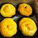 Cooksnap dari temmy untuk resep Kue Sus fla yummy creamy