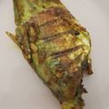 Cooksnap dari Kaylu Cu untuk resep Ikan kembung bakar bumbu padang