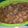 Cooksnap dari Salsabila Maharani untuk resep Cilok bumbu kacang