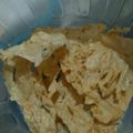 Cooksnap dari Ela Rohimah untuk resep Peyek kacang rebon
