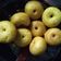 Cooksnap dari Bunda Olla untuk resep Donat Labu Kuning (Eggless)
