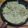 El cooksnap de Romina Diaz Seguel cuando hizo Pechugas de pollo con crema de puerros y champiñones.