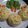 Cooksnap dari Alhabsyi Family untuk resep Bowl Bread (Roti Mangkok) dg Chicken Cream Soup