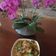 Cooksnap dari chef yenytrisna untuk resep Pecel terong instan