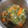 El cooksnap de Sandra cuando hizo Pencas de acelga en escabeche de verduras #BBB.