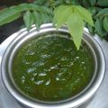 Bimla mehta का कुकस्नैप जब उन्होंने करी पत्तियाँ चटनी (Curry leaves chutney recipe in hindi) बनाया था।