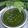 Bimla mehta का कुकस्नैप जब उन्होंने करी पत्तियाँ चटनी (Curry leaves chutney recipe in hindi) बनाया था।