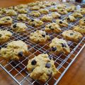 Cooksnap dari RianiPunya untuk resep Chocolate Chips Cookies