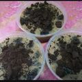 Cooksnap dari Adhitya Indrayana untuk resep ❤ PUDING OREO RED VELVET❤