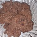 Cooksnap dari Winema Suseno untuk resep Choco Oat Cookies (tanpa oven)