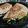 El cooksnap de Hakuna Matata cuando hizo Quesadilla con guacamole, carne picada y queso de untar.