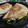 El cooksnap de Hakuna Matata cuando hizo Quesadilla con guacamole, carne picada y queso de untar.
