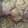 Cooksnap dari dewii Wulandarii untuk resep Roti Maryam