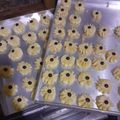 Cooksnap dari Rifa Khafidah untuk resep Kue Semprit Susu