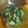 Cooksnap dari Tiza untuk resep Sayur Pak Choy Cah Bawang Putih