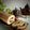 Cooksnap dari Anggraini Oktora untuk resep Bolu Gulung Batik