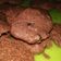 Cooksnap dari Erni Wijaya untuk resep Jelly Cookie by Rina Laurence