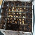 Cooksnap dari Nur Asiah untuk resep Fudgy Brownies shiny crust anti gagal