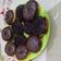 Cooksnap dari pipit untuk resep Donat irit bahan (pake tepung terigu curah)