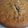 El cooksnap de ale cuando hizo Torta trocitos.